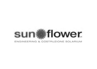 Sun Flowers