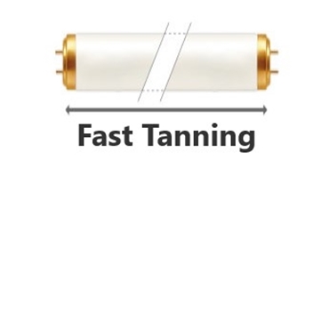 Immagine per la categoria Fast Tanning